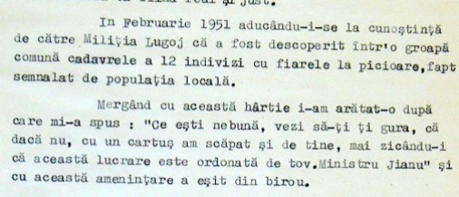Declarație despre crimele de la Lugoj